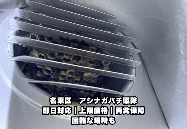 名東区　アシナガバチ駆除　通気口