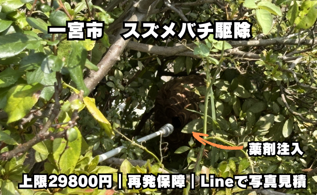 一宮市　スズメバチ駆除　料金実例