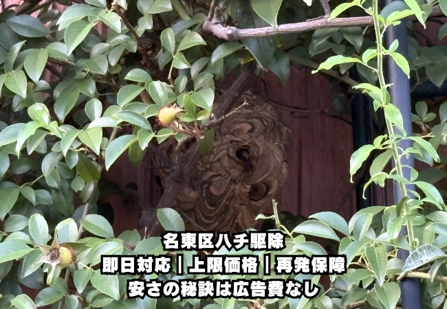 名古屋　スズメバチ駆除　料金　事例