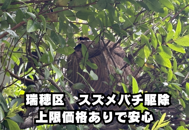 瑞穂区　スズメバチ駆除　料金