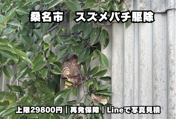 桑名市　蜂駆除　スズメバチ　料金