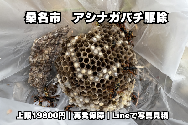 桑名市　ハチ駆除　アシナガバチ　料金
