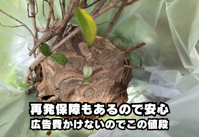 名古屋市瑞穂区　スズメバチ駆除　料金
