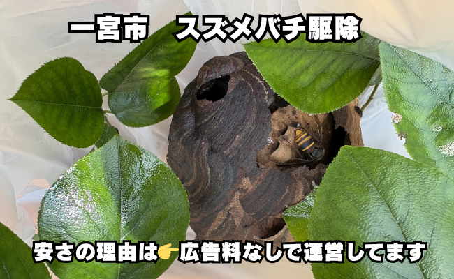 一宮市　蜂駆除　料金