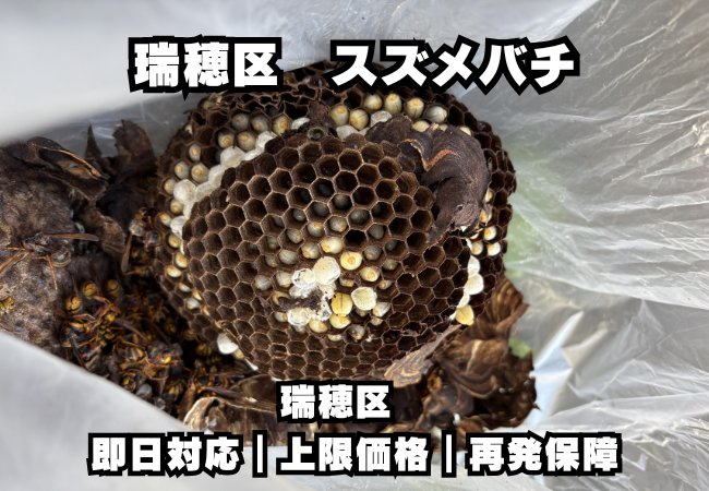 名古屋市瑞穂区　スズメバチ駆除　料金