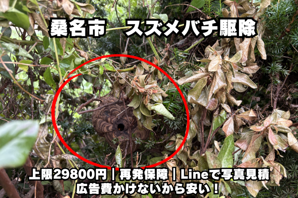桑名　スズメバチ駆除　料金