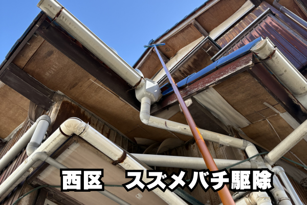 西区　スズメバチ　高所