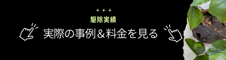 桑名市　ハチ駆除SOS料金