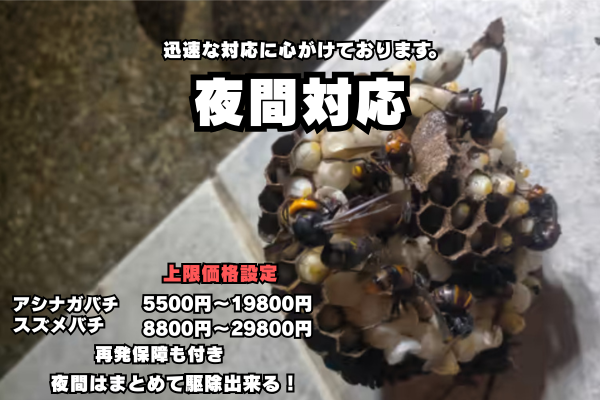 名古屋市　ハチ駆除　相場