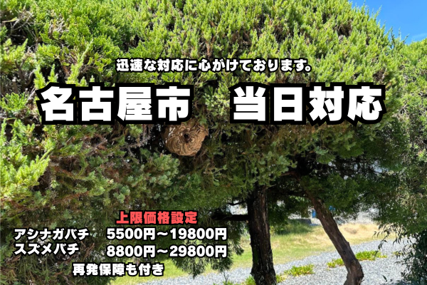 名古屋　ハチ駆除　当日対応