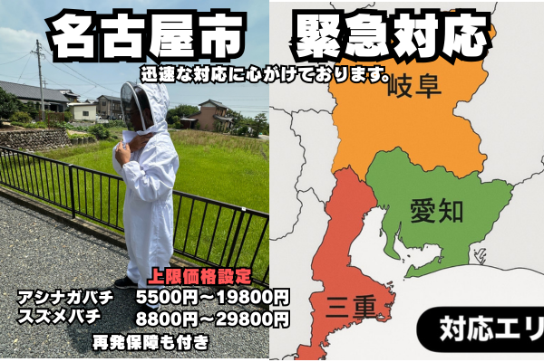 名古屋市　蜂の巣　見積もり　無料