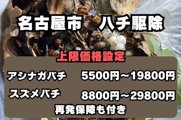名古屋市　ハチ駆除　即日