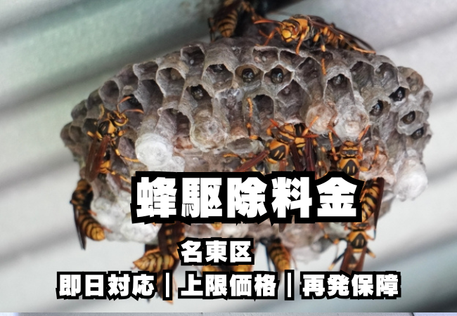 名東区　蜂駆除料金
