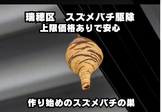 名古屋市瑞穂区　スズメバチ　料金