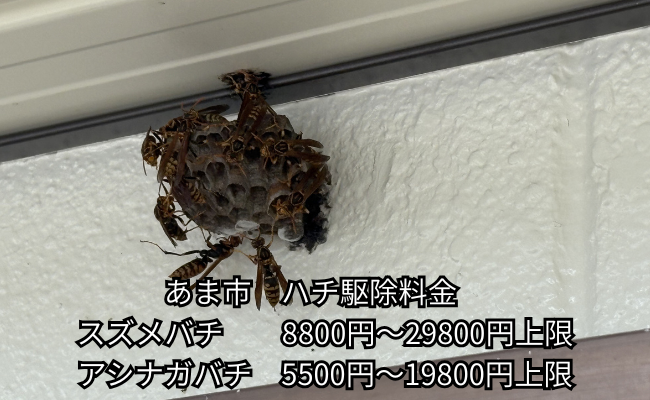 あま市　アシナガバチ駆除