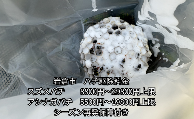 北名古屋市　アシナガバチ駆除
