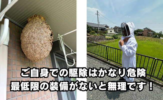 名古屋　ハチ駆除