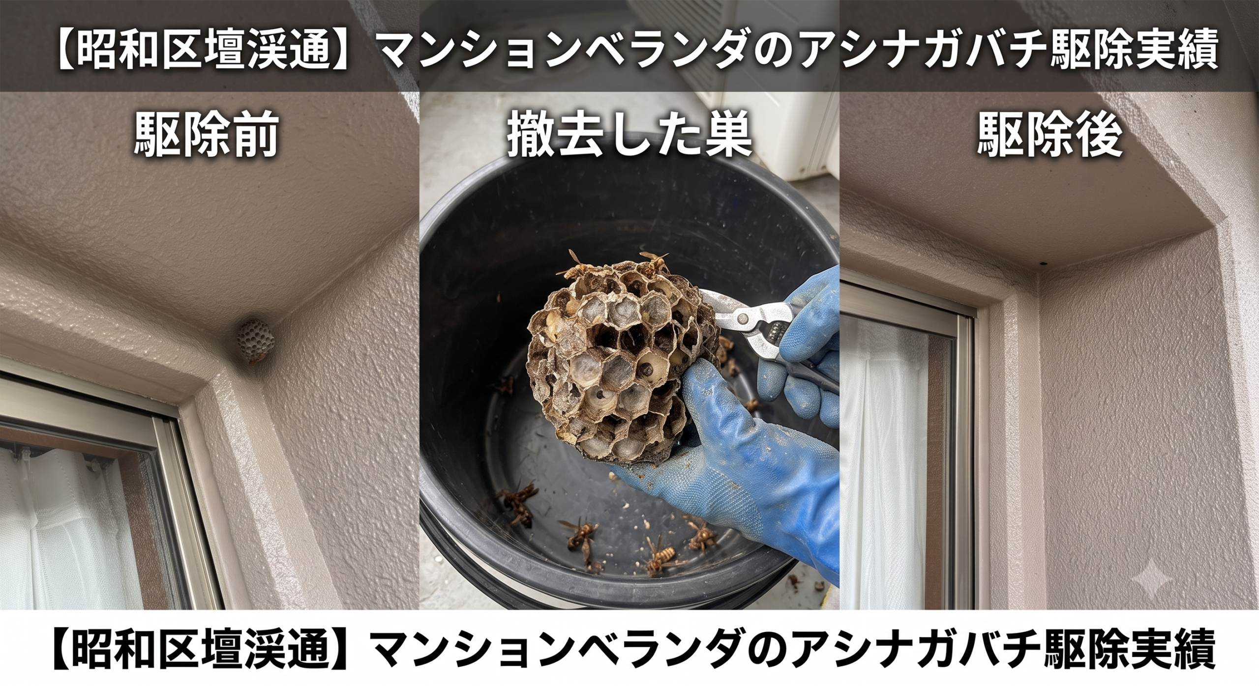 昭和区　ハチ駆除